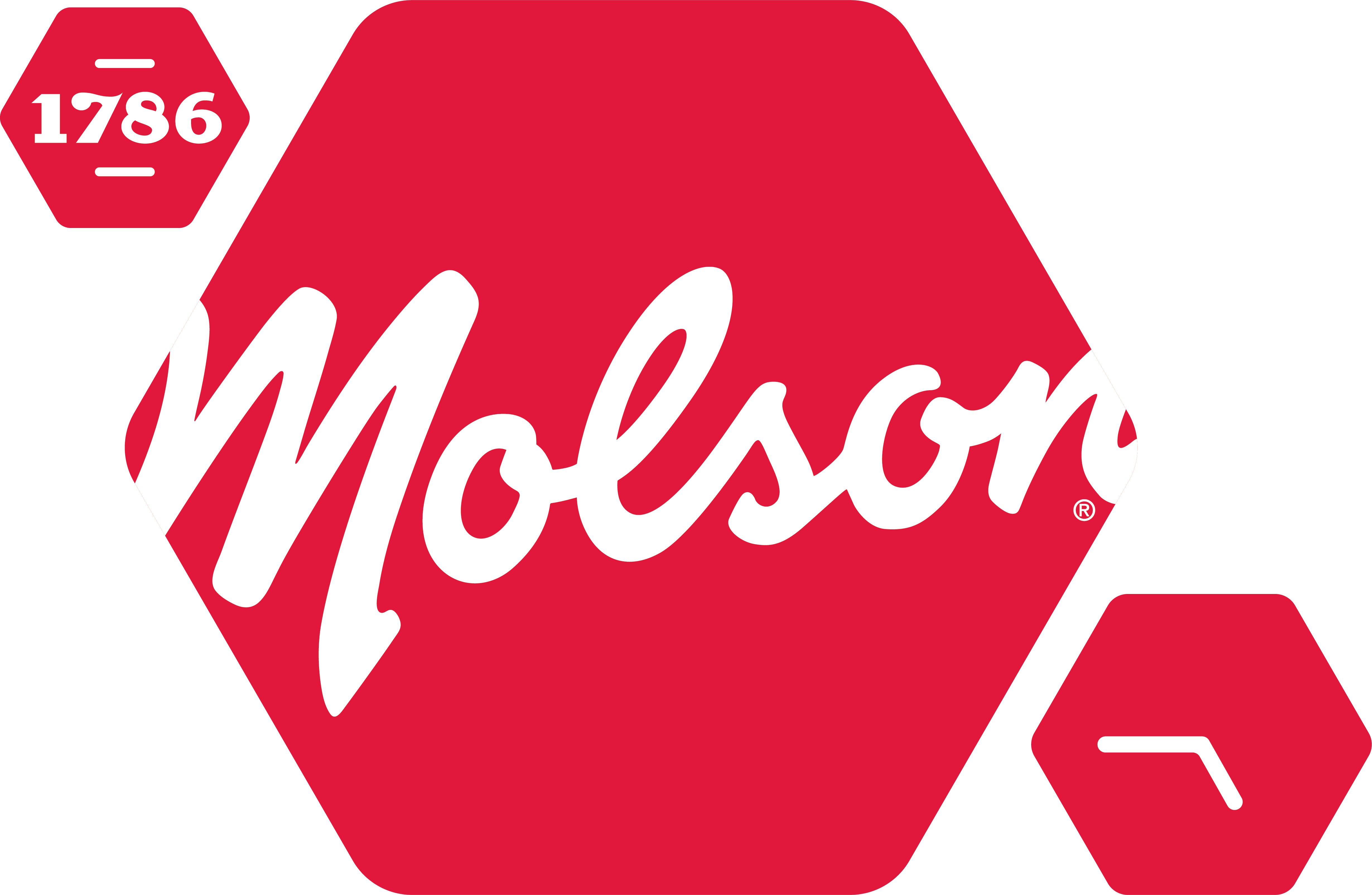 Molson Export Ale